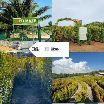 PD Maze - Port Dickson